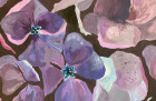 Obrázek k článku Vanitas v květinovém zátiší